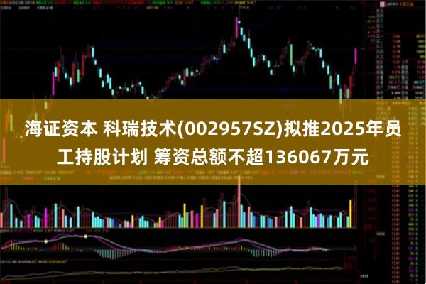 海证资本 科瑞技术(002957SZ)拟推2025年员工持股计划 筹资总额不超136067万元